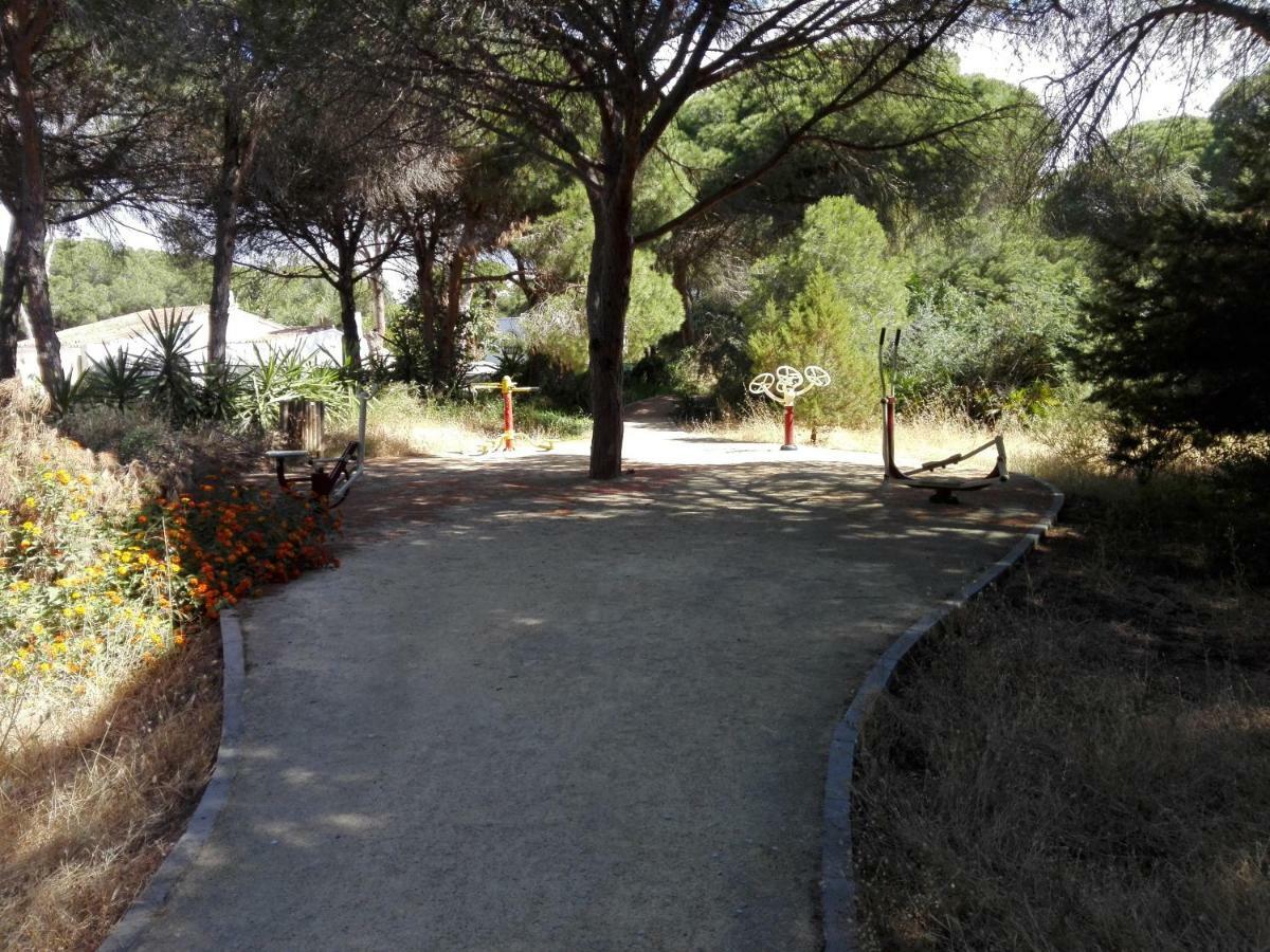 Apartamento En Los Patios De Santa Maria Golf 마르베야 외부 사진